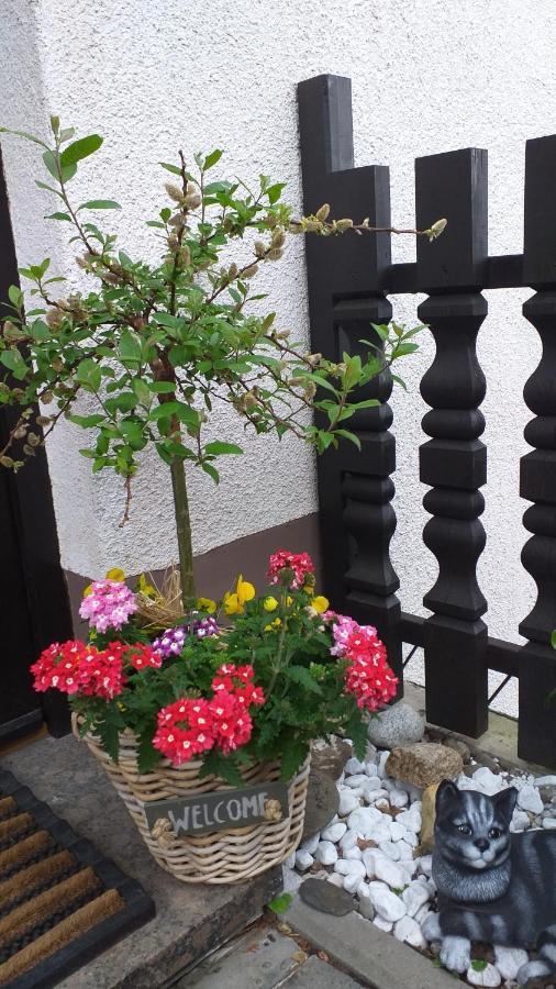 טאלה Ferienwohnung Am Steinbachtal מראה חיצוני תמונה