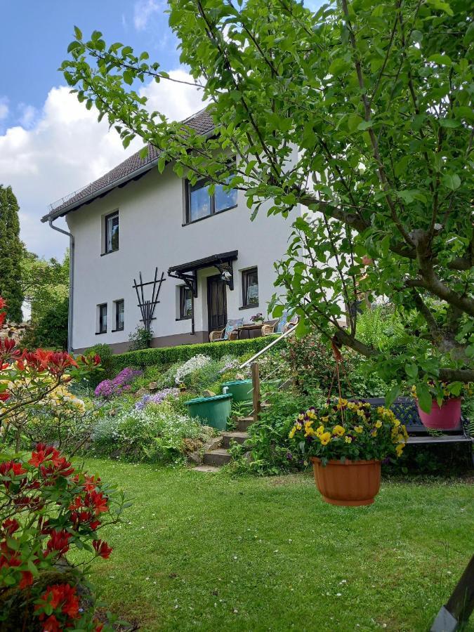 טאלה Ferienwohnung Am Steinbachtal מראה חיצוני תמונה