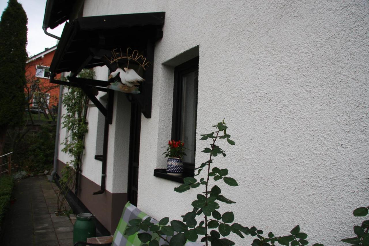 טאלה Ferienwohnung Am Steinbachtal מראה חיצוני תמונה